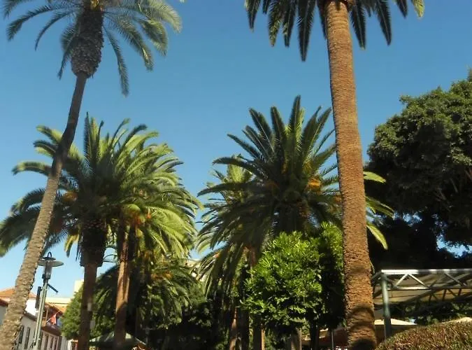 Apartment The Fishing Harbour Puerto de la Cruz (Tenerife)